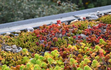 the cost of Murrow green roof installation