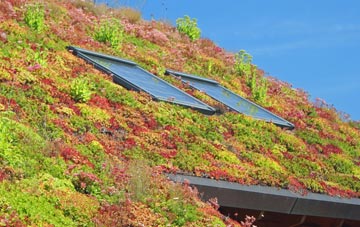 Murrow living roof systems